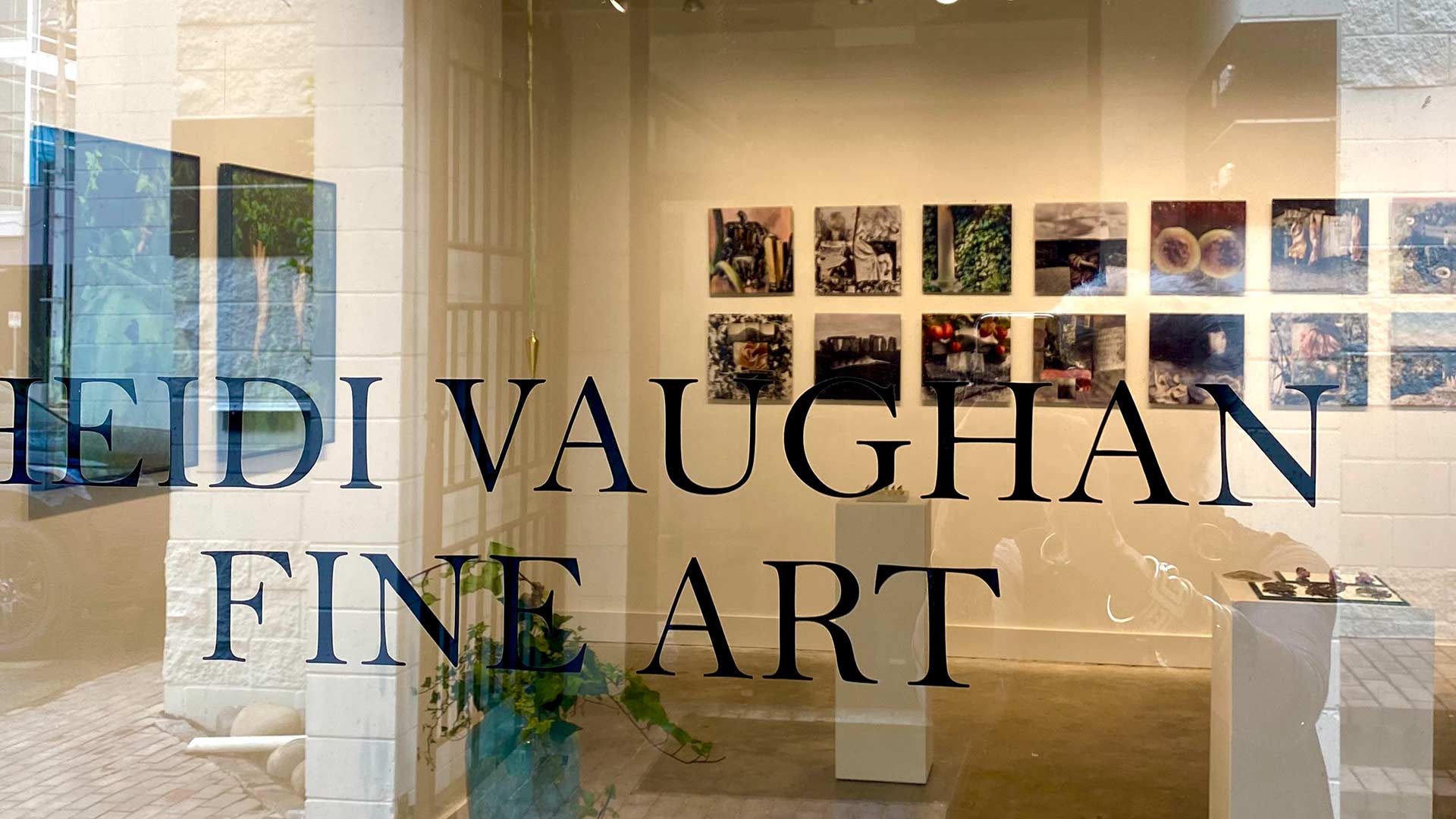 Heidi Vaughan Fine Art Show - Echome